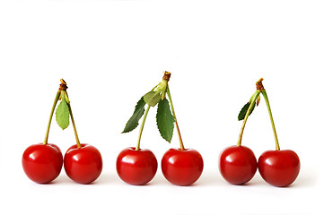 Image showing Cherries