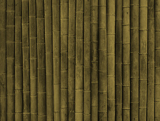 Image showing Bamboo texture