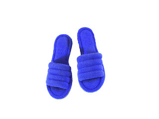 Image showing Pair of house slippers