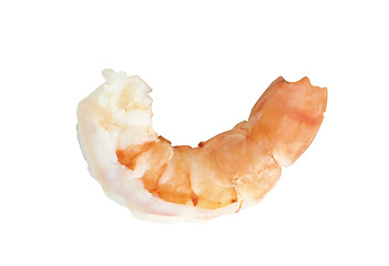 Image showing Closeup view of shrimp isolated