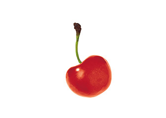 Image showing cherry