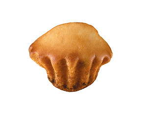 Image showing single muffin isolated