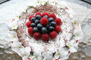Image showing Chocolate gateau with berries