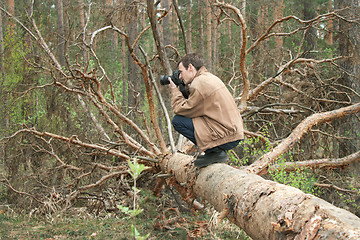 Image showing A man sitting on a fallen tree