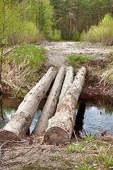 Image showing Crossing the stream in spring