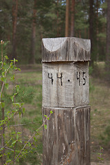 Image showing A pillar at the intersection of firebreaks