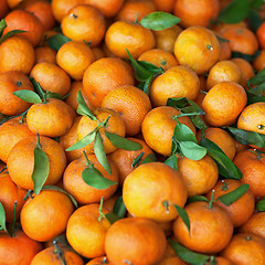 Image showing Mandarins on the counter of Market