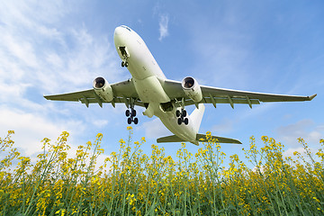 Image showing Aircraft takes off over the meadow