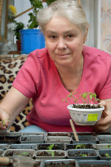 Image showing Woman takes care of the seedlings