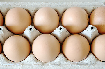 Image showing Eggs in a carton