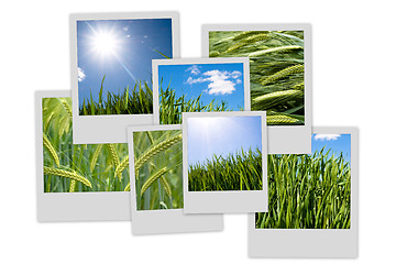 Image showing Countryside theme photo collection