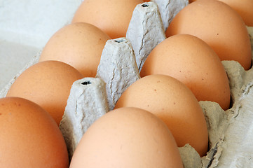 Image showing Eggs in a carton