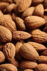 Image showing almonds