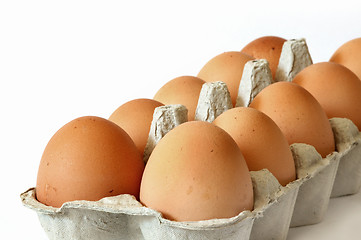 Image showing Eggs in a carton