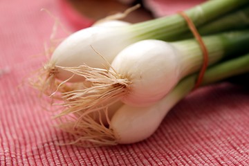Image showing spring onions