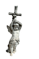 Image showing Angel, isolated with clipping path