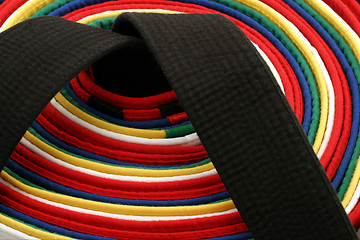 Image showing Martial Arts Belts - Round