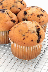 Image showing Chocolate Chip Muffins