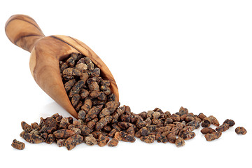 Image showing Cardamom Seed 