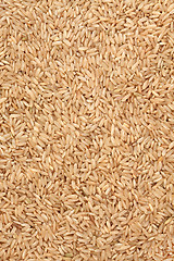 Image showing Brown Rice