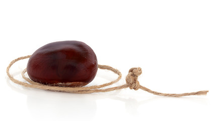 Image showing Conker and String