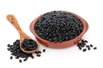 Image showing Black Turtle Beans