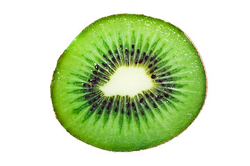 Image showing Kiwi