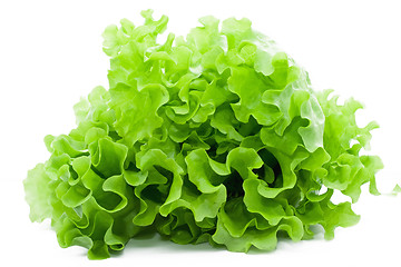 Image showing Lettuce