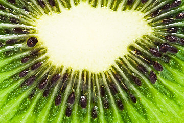 Image showing Kiwi