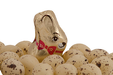 Image showing Chocolate Easter bunny candy  and eggs isolated 