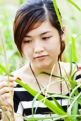 Image showing Asian woman in nature with grasses