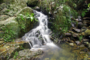 Image showing Waterfall in forest