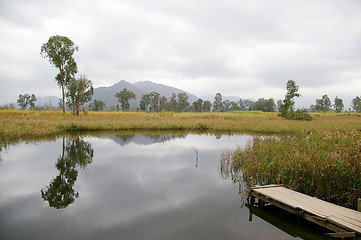 Image showing Wetland in Hong Kong