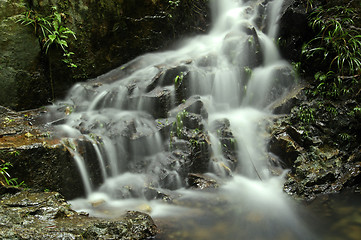 Image showing Waterfall in forest