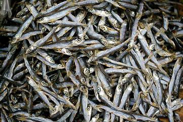 Image showing Salted fishes in Cheung Chau, Hong Kong.