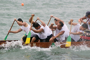 Image showing Dragon boat race in Hong Kong