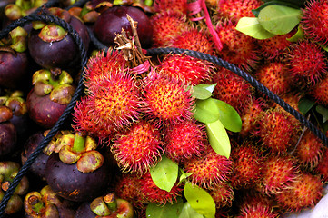 Image showing Rambutan and purple mangosteen fruits