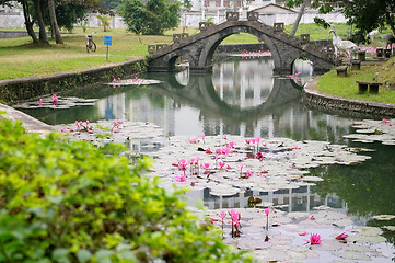 Image showing Lotus pond 