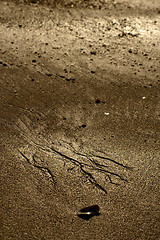 Image showing Pattern on the beach 