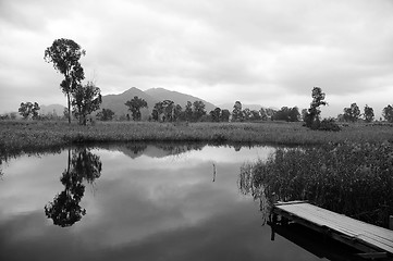 Image showing Wetland in Hong Kong in black and white tone