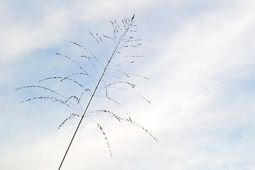 Image showing Blue sky background