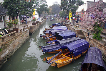 Image showing Tongli water village in China during spring