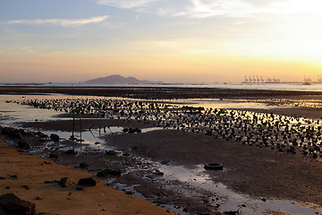 Image showing Beautiful sunset along seashore in Hong Kong 