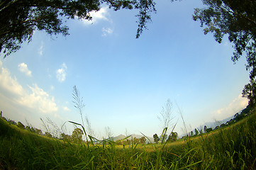 Image showing Wetland in Hong Kong