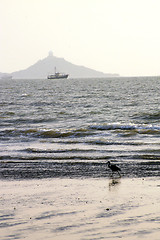 Image showing Coast in Hong Kong