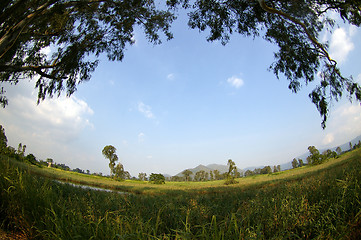 Image showing Wetland in Hong Kong at day