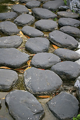 Image showing Stony floor background