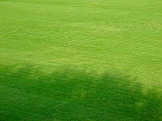 Image showing Football terrain shadow