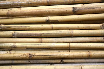 Image showing Bamboo background