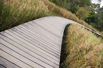 Image showing Path in wetland